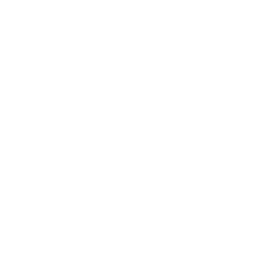 787 logo