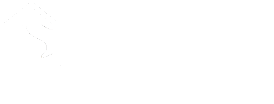 Solivance logo white transparent