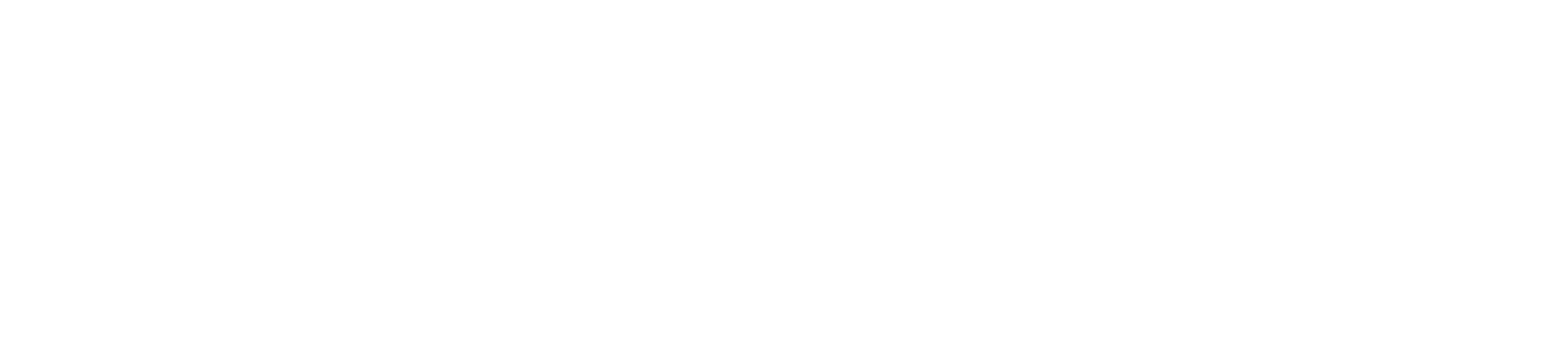 Wordmark white